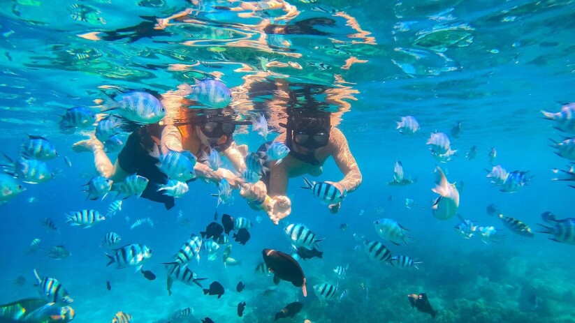 Trọn Gói Du Lịch Nha Trang 3N2Đ: Trải Nghiệm Đẳng Cấp Tại Grand Tourane Với Ưu Đãi Tốt Nhất Hè 2025!